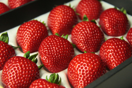 【発送1～4月】あまりん　350～400ｇ