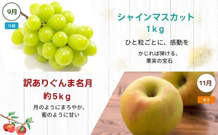 【定期便6回】松川村の魅力が詰まった 満喫セット | 定期便 セット 季節限定 りんごジュース リンゴジュース おやき まんじゅう カステラ かすてら 洋菓子 豚まん シャインマスカット りんご リン