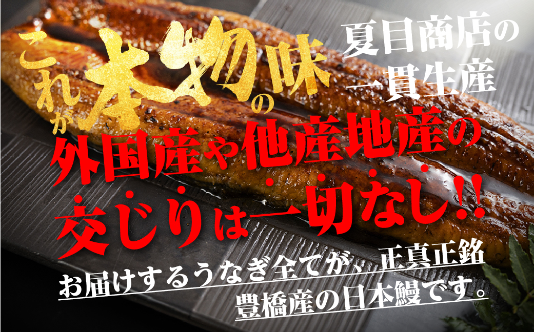 極上 豊橋うなぎ 蒲焼 2尾 ~300g 夏目商店