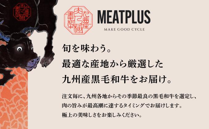 厳選希少部位 A4ランク以上 博多和牛ミスジステーキ 約1kg（100ｇ×10ｐ）