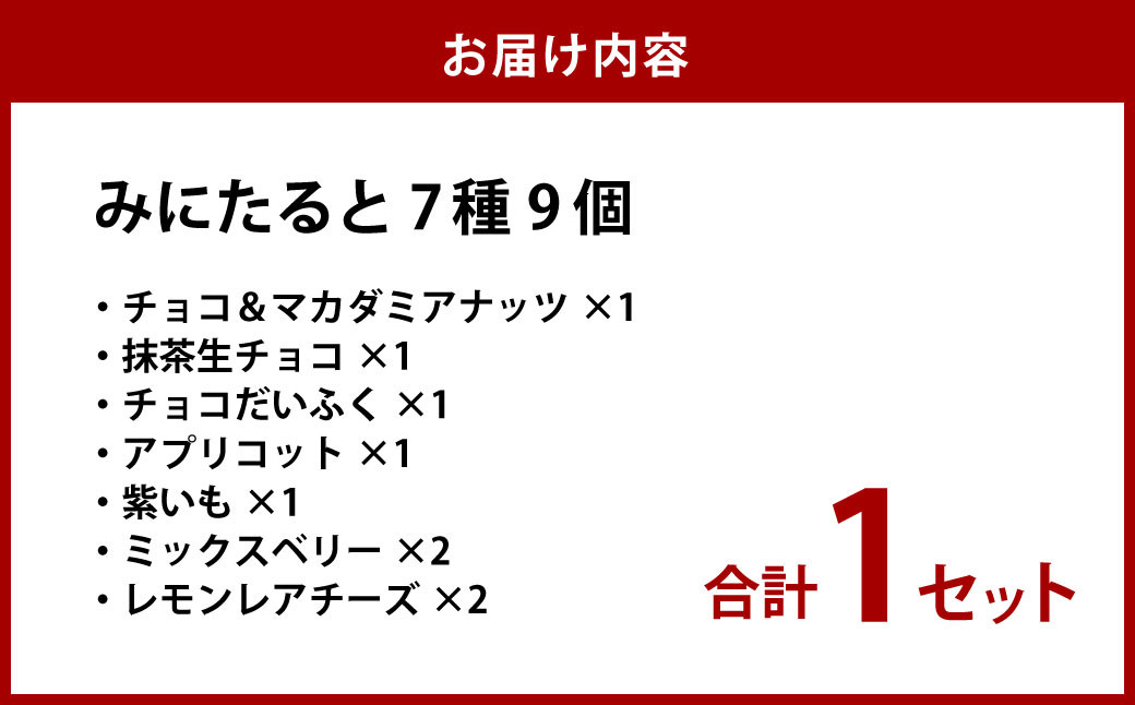 ねこみにタルト9個入り
