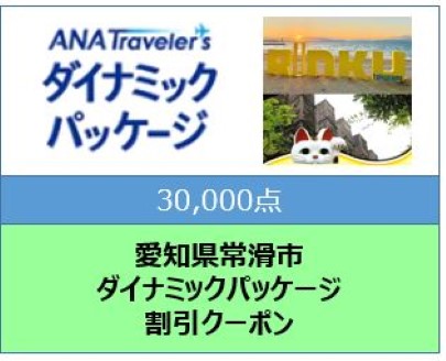 愛知県常滑市　ANAトラベラーズダイナミックパッケージ割引クーポン30,000点分