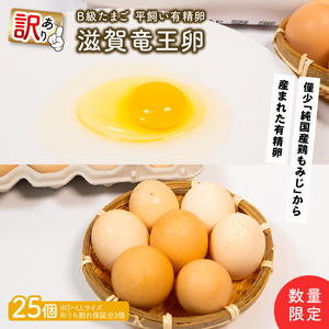 訳あり B級卵 たまご 25個 有精卵 ご飯 【卵】