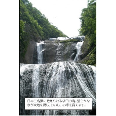筑波山麓産 食べ比べ3種セット(あきたこまち・ひとめぼれ・ふくまる)各5kg 計15kg【配送不可地域：離島・沖縄県】