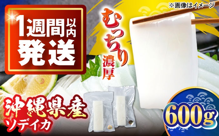 セーイカ (そでいか) 600g (300g ×2パック) 沖縄市 / 沖縄市漁業協同組合 パヤオ直売店[BCDZ002]