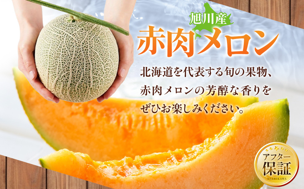 【先行予約】北海道産赤肉メロン約2.0kg×2玉 (2027年7月中旬から発送開始予定) 【 果物 くだもの フルーツ メロン 赤肉 赤肉メロン めろん meron melon 国産 デザート 産地直
