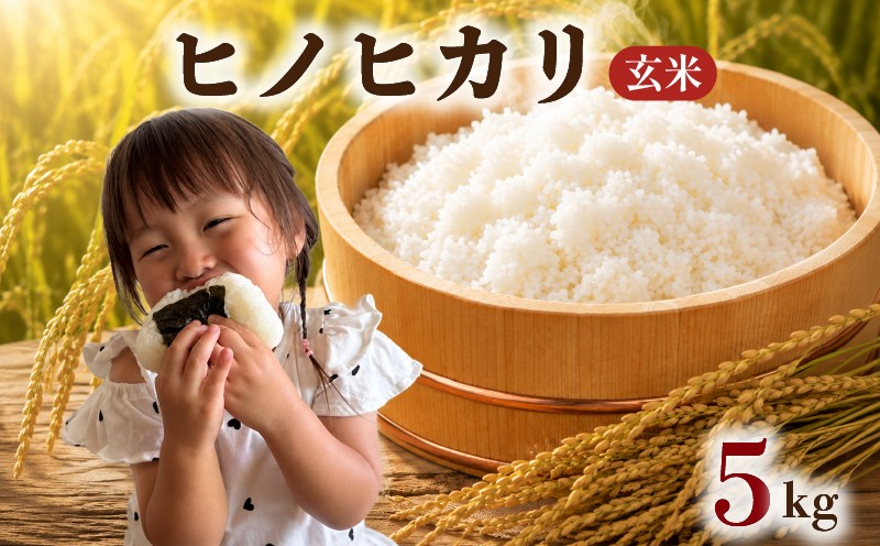 
                  ＜令和8年産・新米＞「柳川市のお米」 ヒノヒカリ 玄米(計5kg・5kg×1袋)【先行予約受付中！2026年12月から順次発送予定】 柳川産 米 新米 お米 玄米 福岡県米 ごはん ひのひかり 福岡県 柳川市 5kg 【宝物産】【TKR010z】
                