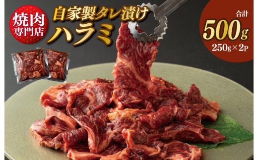 
焼き肉専門店 自家製タレ漬け ハラミ 合計500g（250g×2）
