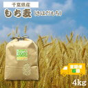 【ふるさと納税】【毎月定期便】食物繊維たっぷりの「もち麦」(きはだもち) 4kg 千葉県横芝光町産全6回【4056807】