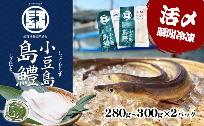 はも 鱧 ハモ 小豆島島鱧 小豆島 瀬戸内 280g～300g × 2パック 冷凍 真空パック 骨切り 骨切り加工済み 下処理不要 湯引き しゃぶしゃぶ 寿司 フライ 鍋 ブランド魚 ブランド鱧 急速凍結 魚 海鮮 四海漁業協同組合 香川県 土庄町