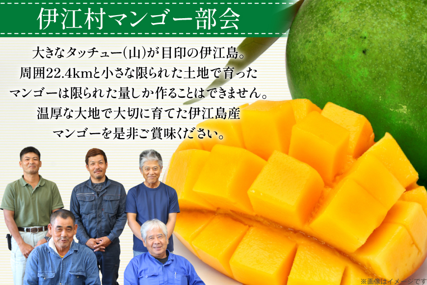 【期間限定発送】 家庭用 キーツ マンゴー 約 2kg (2〜3玉) [伊江村マンゴー部会 沖縄県 伊江村 ie47bde320000] キーツマンゴー 沖縄 フルーツ 果物 甘い 夏 濃厚 Mang