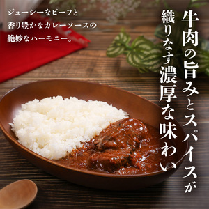 北海道発厚切りビーフカレー 250g 10個セットen01-00238