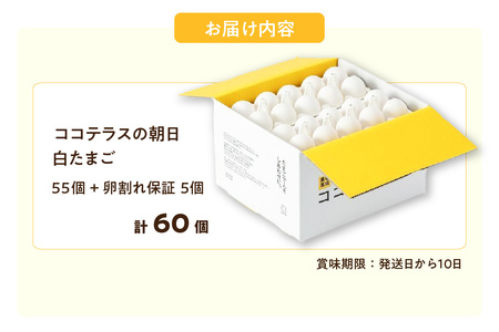 ココテラスの朝日（白たまご）55個 + 5個保証（計60個）【JGAP認証】 農家直送 新鮮 卵 タマゴ 白卵 玉子 鶏卵 朝食 夕食 夜食 朝ごはん たまご焼き だし巻き卵 オムレツ 卵ご飯 料理 