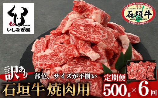 
                  【定期便】《隔月全6回》【訳あり】石垣牛 焼肉用（不揃い）500g【訳アリ 沖縄県 石垣島 石垣牛 国産 黒毛和牛 牛肉 牛 和牛 焼肉 BBQ 】AB-026-t06
                