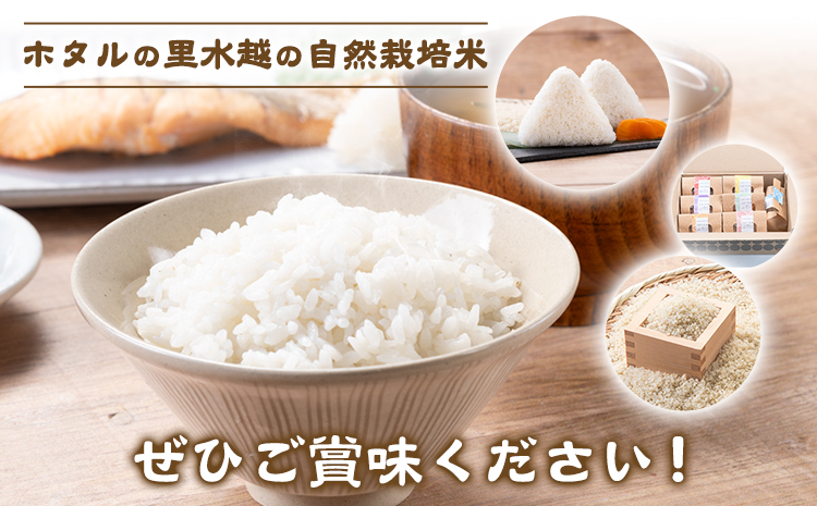 洗米 ホタルの里水越の自然栽培米 約2.1kg 300g×7袋 合同会社点天《30日以内に発送予定(土日祝除く)》洗わなくてOK 米 コメ 小分け 便利 熊本県産---mf_tnmsn6nen_24_