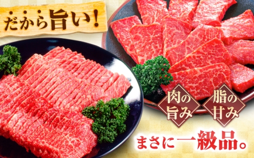 【12回定期便】飛騨牛 A5等級 焼肉用 カルビ・ロース 1kg 牛肉 肉 お肉 焼き肉 BBQ 岐阜市 / 肉の松久 [ANIP038]