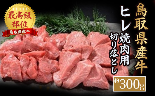 【鳥取県産牛】ヒレ焼肉用 切り落とし （約300g） 国産 牛肉 ヒレ 切り落とし 焼肉 焼き肉 肉 鳥取県 倉吉市