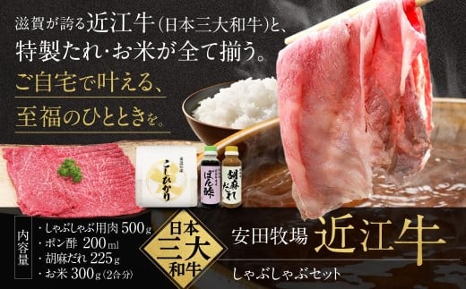 しゃぶしゃぶセット（しゃぶしゃぶ用肉、ポン酢、ごまだれ、お米） 安田牧場 滋賀県 東近江市 C-B09 しゃぶしゃぶ しゃぶしゃぶセット ポン酢 ごまだれ 米 近江牛 安田牧場 ブランド牛 滋賀県産 和牛 牛肉 霜降り お取り寄せ 贈答品 ギフト 高級肉
