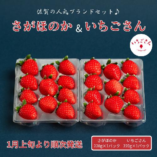 佐賀県産いちご さがほのか&いちごさんセット：B100-039