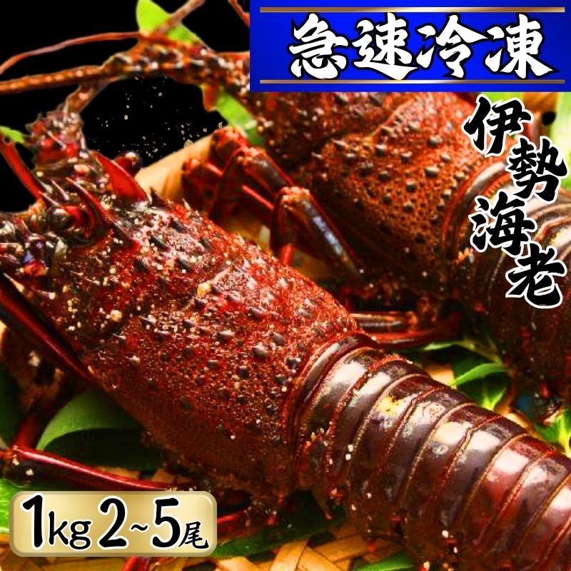 【ふるさと納税】 【漁師直送／活〆冷凍】 冷凍 伊勢海老 （1kg／2〜5尾）） 銚子港 水揚げ 急速冷凍 冷凍伊勢海老 伊勢エビ いせえび 海老 エビ ハーフカット お祝い 高級 人気 新鮮 贈答 お取り寄せ グルメ 産地直送 送料無料 ふるさと納税 千葉県銚子市 仲野水産