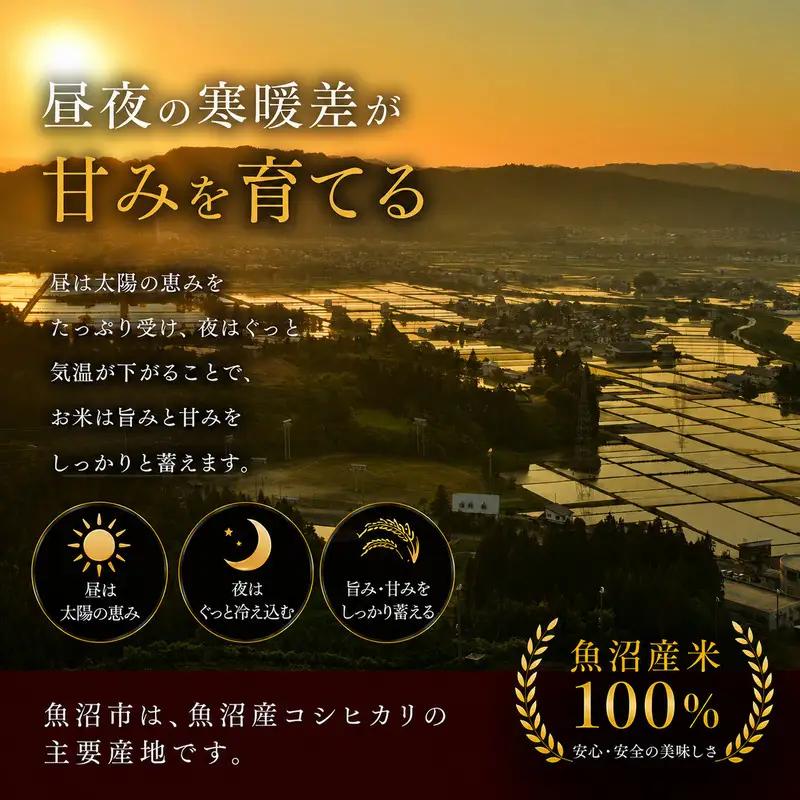 【定期便：精米5kg×10ヶ月】ブランド米    魚沼産コシヒカリ 米 こしひかり 新潟 定期