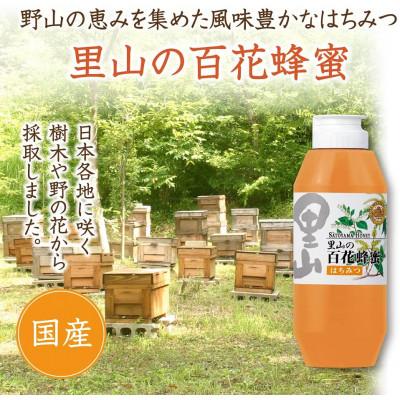 ふるさと納税 津山市 里山の百花蜂蜜 500gプラ容器入(3639) |  | 01