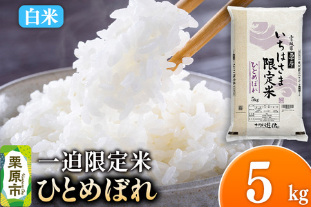 【白米】令和7年産 一迫限定米 ひとめぼれ 5kg