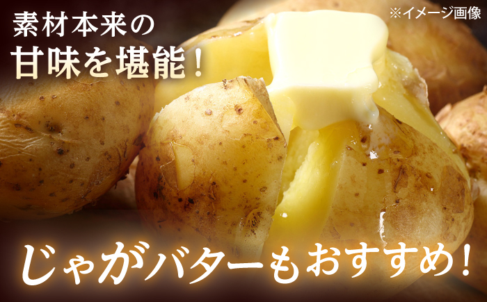 【2026年11月上旬以降順次発送】 じゃがいも キタカムイ（まっかりじゃが）10kg | 先行予約 野菜 じゃがいも ジャガイモ キタカムイ 北海道 産地直送 先行予約 | 道の駅 真狩フラワーセン