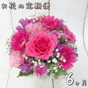 【ふるさと納税】お花 定期便 ふるさと納税 花 フラワーアレンジメント 6ヶ月連続届く