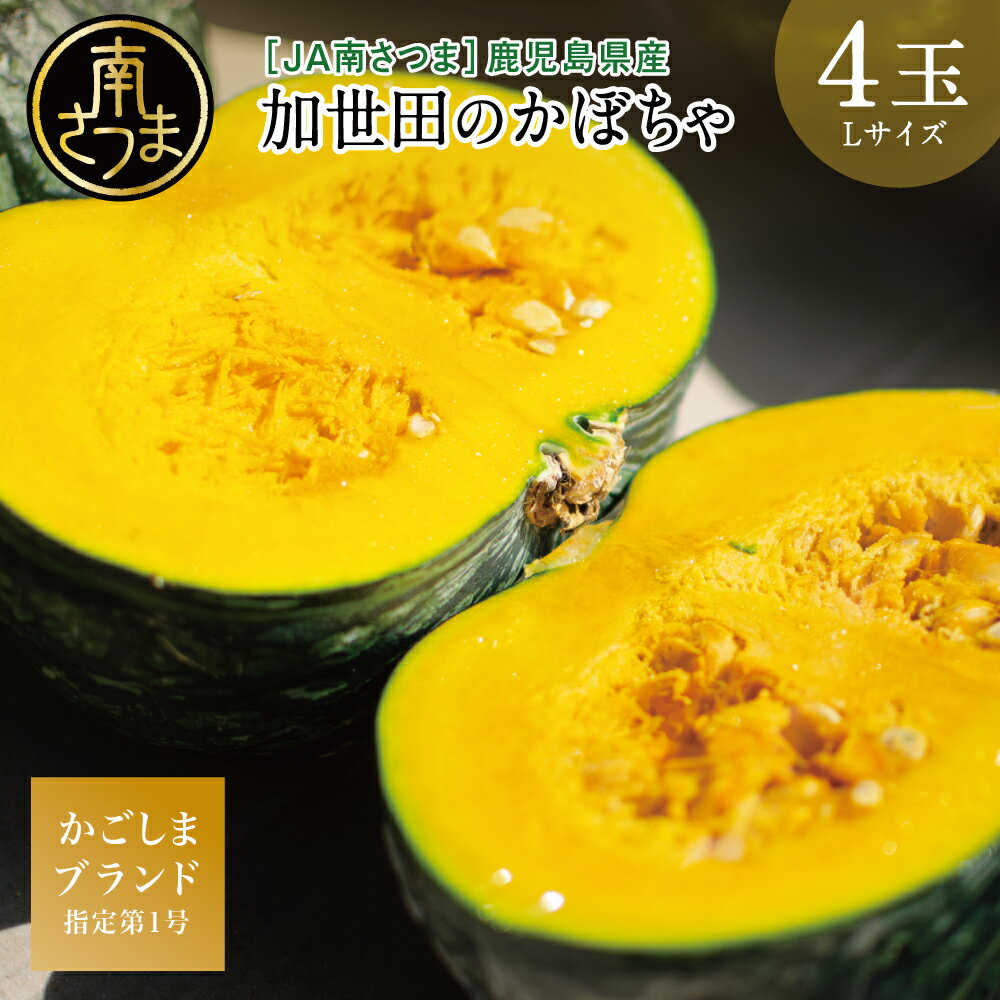 【ふるさと納税】◆12月出荷◆【かごしまブランド】加世田のかぼちゃ 4個 ［冬出荷］ 野菜 カボチャ 常温 鹿児島県産 JA 南さつま市 送料無料