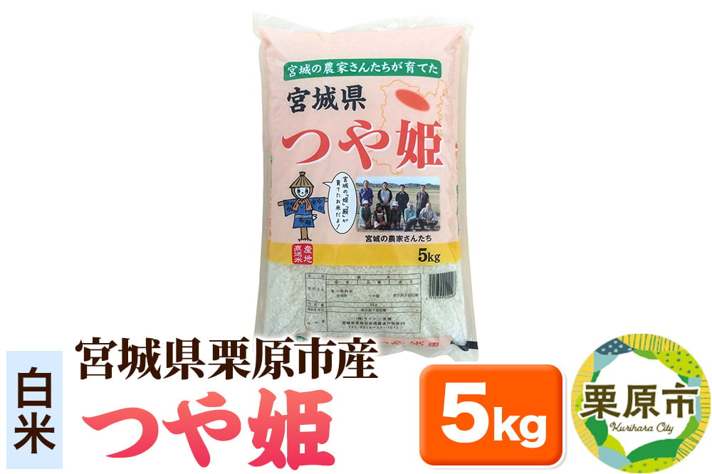 
            【白米】令和6年産 つや姫 5kg 宮城県栗原市産 
          