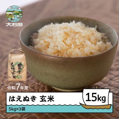 ふるさと納税 大石田町 米 令和7年産 はえぬき 玄米 15kg 5kg×3 順次発送 ap-hagxa15