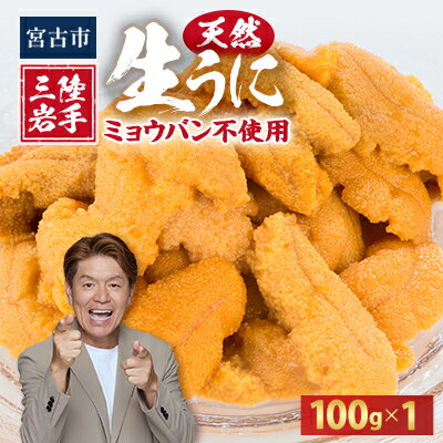 【ふるさと納税】天然生うに100g×1パック岩手県産　ミョウバン不使用【配送不可地域：離島・沖縄県・九州】【1625389】