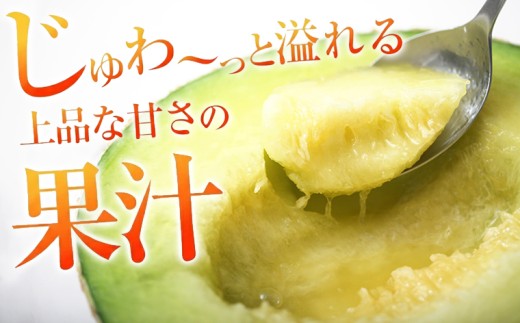 ※写真は正規品の純系マスクメロンです