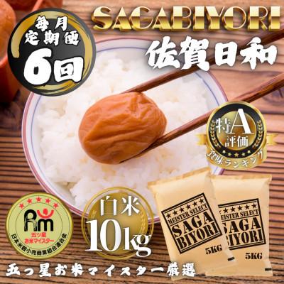 ふるさと納税 多久市 【毎月定期便】さがびより白米10kg(5kg×2袋)(多久市)全6回