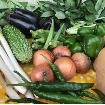 ふるさと納税 潮来市 『身体が喜ぶ野菜』詰め合わせ(おまかせ10〜12品) |  | 01