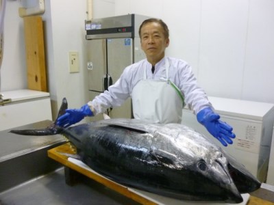 【全6回定期便】長崎県産 本まぐろ 3種セット  ( 大トロ 中トロ 赤身 ) 総計6kg 各回1kg以上 特殊製法で臭みなし【本家 永松屋】人気マグロ おすすめマグロ マグロ食べ比べ マグロ刺身 冷
