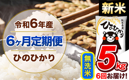 【6ヶ月定期便】令和6年産 新米 定期便 無洗米 ひのひかり 5kg 《申込み翌月から発送》令和6年産 熊本県産｜人気米 熊本県産米 お米 生活応援米