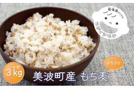 美波町産 もち麦 ３kg（1kg×3袋）