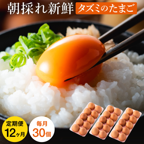 【累計600万個突破！】★TVで紹介されました★【定期便】タズミの卵Ｌサイズ（30個×12ヶ月）097AB01N.／こだわり卵 市川町産 兵庫県産 たまご 卵 たまごかけご飯 玉子 生卵 鶏卵 タマゴ 卵焼き TKG 12か月 定期便