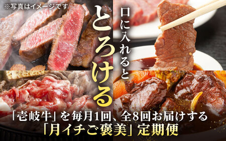 【全8回定期便】 特選 壱岐牛 月イチ ご褒美 定期便 《壱岐市》【太陽商事】[JDL093] ステーキ サーロイン モモ 焼肉 すき焼き しゃぶしゃぶ 249000 249000円