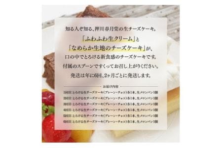 【定期便6回コース】とろける生チーズケーキ（プレーン・チョコ）+メロンパン【スイーツ ケーキ チーズケーキ プレーン チョコ 洋菓子ケーキ スプーンでケーキ  おまけつきケーキ 全6回】