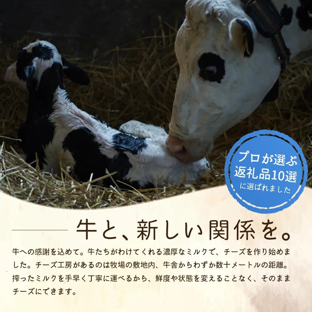 竹下牧場 takeshita farm 【6ヶ月配送】リコッタチーズセット 計470g【2401902】