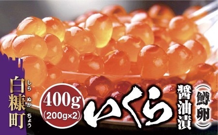 いくら 400g ( 200g × 2 ) レビュー4.8の圧倒的おいしさ いくら 醤油漬け イクラ 鱒卵 鱒いくら 小分け 海鮮 送料無料 人気 ランキング 北海道 白糠町 いくら醤油漬（鱒卵） _