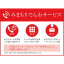 【ふるさと納税】 郵便局のみまもりサービス「みまもりでんわサービス (固定電話)」(12ヵ月) 山形県 南陽市 [1533]