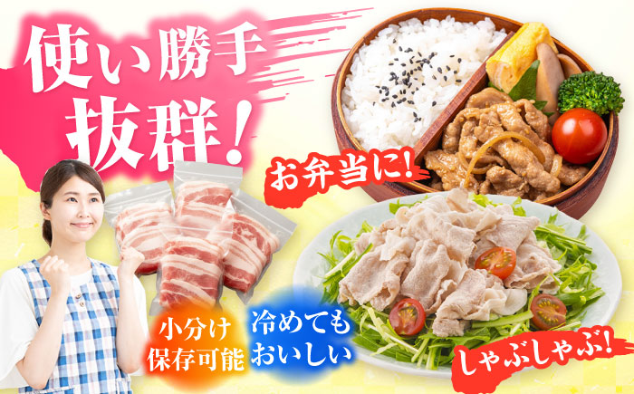 【6回定期便】五島美豚薄切り1kg（ロース500g/バラ500g） 五島市/ごとう農業協同組合[PAF012]  冷凍 国産豚 豚肉 ブランド豚 冷凍 国産豚 豚肉 ブランド豚