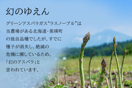 【2026年産先行予約】北海道 美瑛町幻のアスパラ 本山農場のラスノーブル（グリーンアスパラ）M～Lサイズ 2kg ≪3回便≫ | アスパラ アスパラ アスパラ アスパラ アスパラ アスパラ[060-
