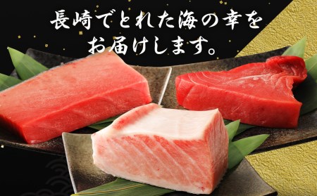 長崎県産 本マグロ3種盛り「大トロ・中トロ・赤身」約3kg【大村湾漁業協同組合】