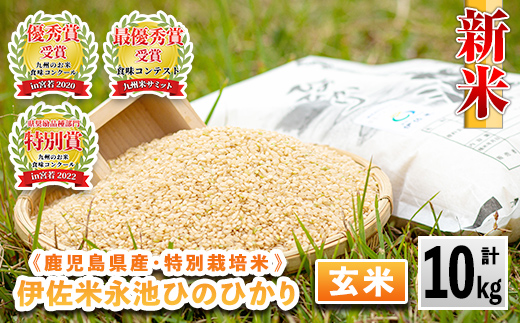 isa199 令和6年産 新米 特別栽培米 永池ひのひかり玄米(10kg) 鹿児島 永池 お米 米 玄米 伊佐米 九州米サミット 食味コンテスト 最優秀賞受賞 ヒノヒカリ 【エコファーム永池】