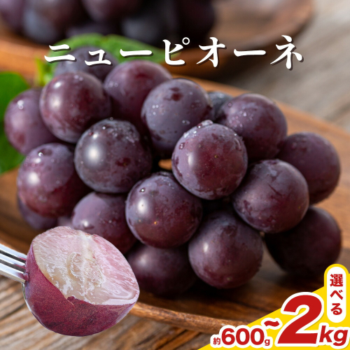 【先行予約】岡山県産 ニューピオーネ詰合せ 選べる 計600g～2kg 株式会社はちや《8月下旬‐9月下旬頃出荷》岡山県 浅口市 ぶどう 葡萄 フルーツ ギフト 果物 デザート 国産 送料無料【配送不可地域あり】